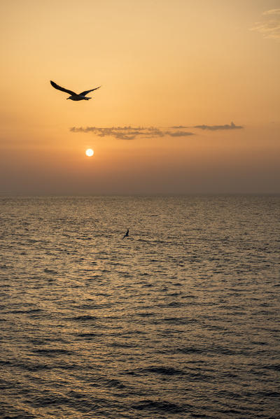 Gallipoli, province of Lecce, Salento, Apulia, Italy