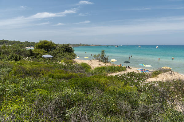 Gallipoli, province of Lecce, Salento, Apulia, Italy. The beach of Punta Pizzo