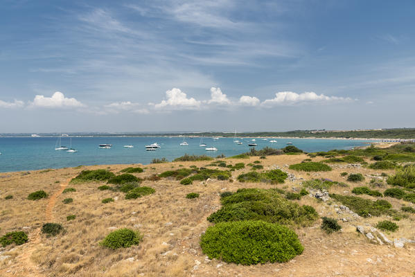 Gallipoli, province of Lecce, Salento, Apulia, Italy. The coast of Punta Pizzo