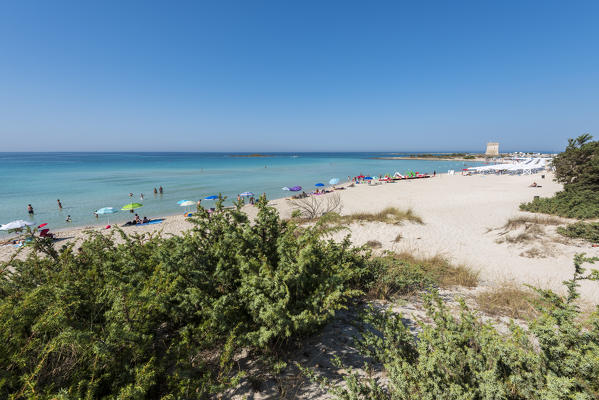 Torre Lapillo, Porto Cesareo, province of Lecce, Salento, Apulia, Italy. The beach of the dunes