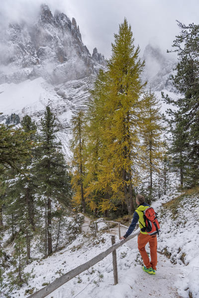 Funes Valley, Dolomites, South Tyrol, Italy. Hiker admires the Peaks of Odle the from the Alta Via Adolf Munkel 