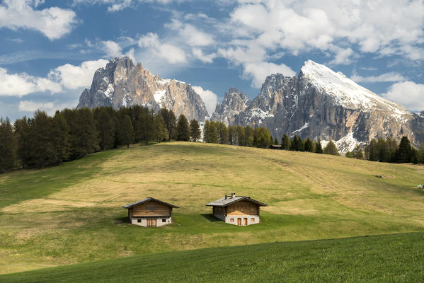 Alpe di Siusi/Seiser Alm, Dolomites, South Tyrol, Italy. 