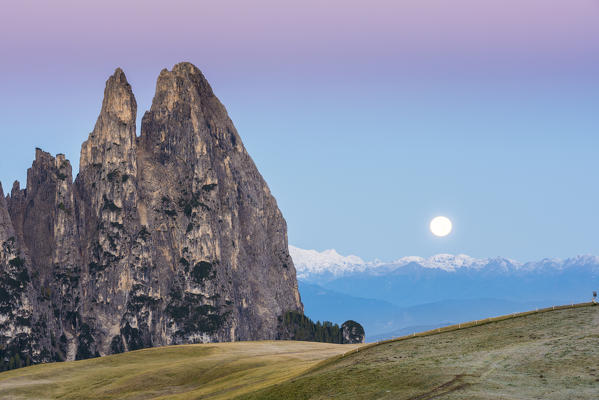 Alpe di Siusi/Seiser Alm, Dolomites, South Tyrol, Italy. 