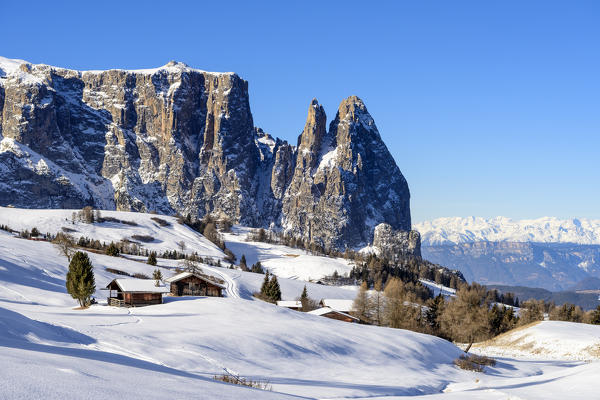 Alpe di Siusi/Seiser Alm, Dolomites, South Tyrol, Italy. Winter landscape on the Alpe di Siusi/Seiser Alm with the peaks of Euringer and Santner