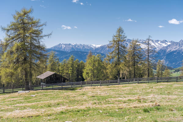 Meltina/Mölten, Bolzano province, South Tyrol, Italy.