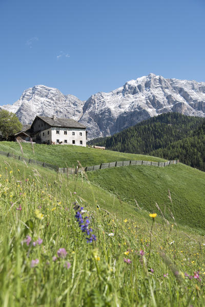 La Valle / Wengen, Alta Badia, Bolzano province, South Tyrol, Italy. Old farm before the peaks of Cima Nove / Neunerspitze and Cima Dieci / Zehnerspitze.