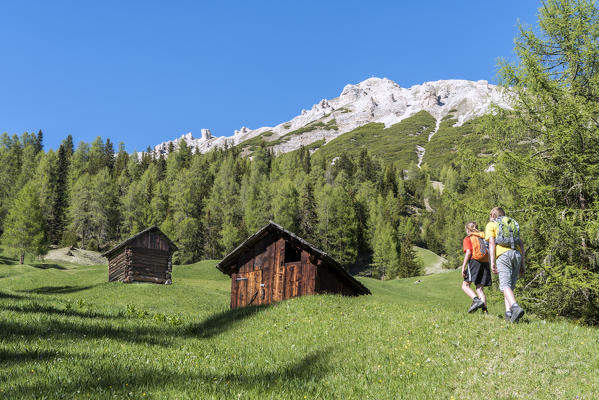 La Valle / Wengen, Alta Badia, Bolzano province, South Tyrol, Italy. Hikers traveling on the pastures of Pra de Rit