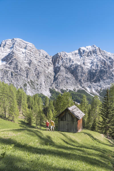 La Valle / Wengen, Alta Badia, Bolzano province, South Tyrol, Italy. Hikers traveling on the pastures of Pra de Rit