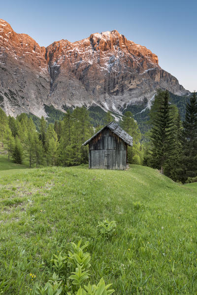 La Valle / Wengen, Alta Badia, Bolzano province, South Tyrol, Italy. Sunset on the pastures of Pra de Rit with the peak  Cima Dieci / Zehnerspitze