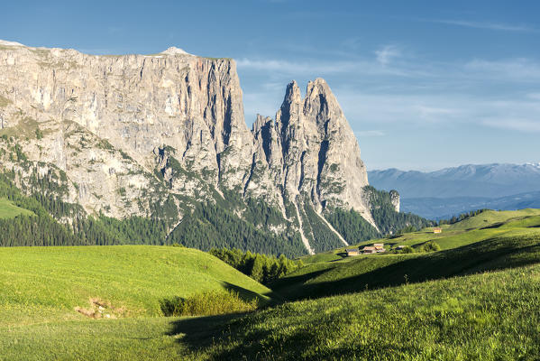 Alpe di Siusi/Seiser Alm, Dolomites, South Tyrol, Italy.