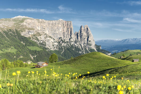 Alpe di Siusi/Seiser Alm, Dolomites, South Tyrol, Italy.