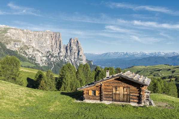 Alpe di Siusi/Seiser Alm, Dolomites, South Tyrol, Italy.
