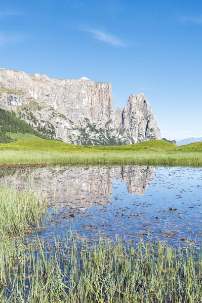 Alpe di Siusi/Seiser Alm, Dolomites, South Tyrol, Italy.