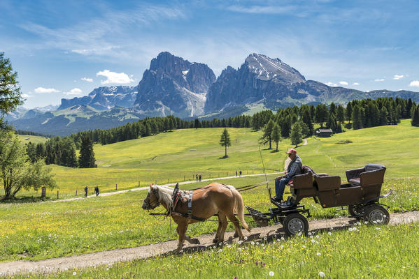 Alpe di Siusi/Seiser Alm, Dolomites, South Tyrol, Italy.