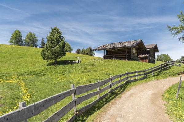 Alpe di Siusi/Seiser Alm, Dolomites, South Tyrol, Italy.