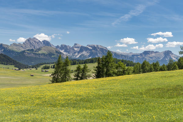 Alpe di Siusi/Seiser Alm, Dolomites, South Tyrol, Italy.