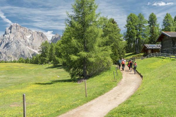 Alpe di Siusi/Seiser Alm, Dolomites, South Tyrol, Italy.