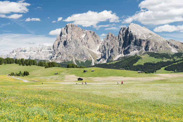 Alpe di Siusi/Seiser Alm, Dolomites, South Tyrol, Italy.