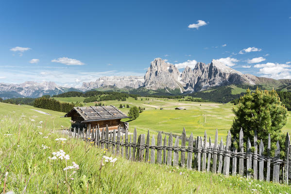 Alpe di Siusi/Seiser Alm, Dolomites, South Tyrol, Italy.