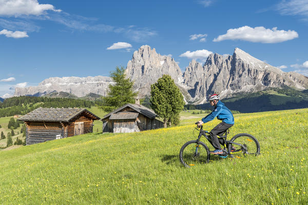 Alpe di Siusi/Seiser Alm, Dolomites, South Tyrol, Italy. Mountainbiker on the Alpe di Siusi