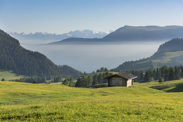 Alpe di Siusi/Seiser Alm, Dolomites, South Tyrol, Italy.
