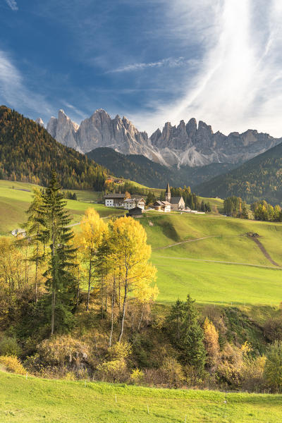 Funes Valley, Dolomites, province of Bolzano, South Tyrol, Italy. Autumn in Santa Maddalena and the peaks of Odle in the background