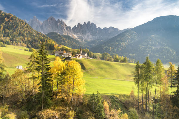 Funes Valley, Dolomites, province of Bolzano, South Tyrol, Italy. Autumn in Santa Maddalena and the peaks of Odle in the background
