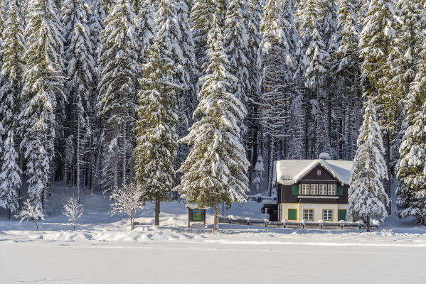 Dobbiaco/Toblach, province of Bolzano, South Tyrol, Italy. Winter at the Lake Dobbiaco