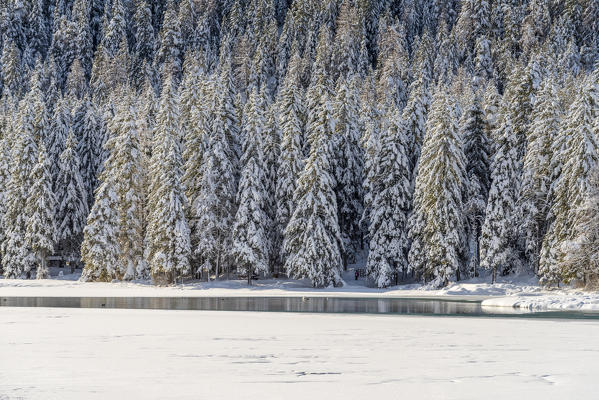 Dobbiaco/Toblach, province of Bolzano, South Tyrol, Italy. Winter at the Lake Dobbiaco