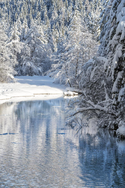 Dobbiaco/Toblach, province of Bolzano, South Tyrol, Italy. Winter at the Lake Dobbiaco