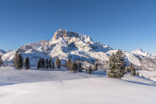 Prato Piazza/Plätzwiese, Dolomites, province of Bolzano, South Tyrol, Italy. The Croda Rossa d' Ampezzo