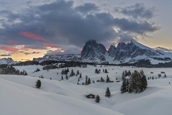 Alpe di Siusi/Seiser Alm, Dolomites, South Tyrol, Italy. Sunrise on the Alpe di Siusi / Seiser Alm with the peaks of Sassolungo / Langkofel and Sassopiatto / Plattkofel