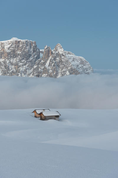 Alpe di Siusi/Seiser Alm, Dolomites, South Tyrol, Italy. Dawn on the plateau of Bullaccia/Puflatsch. In the background the peaks of Sciliar/Schlern