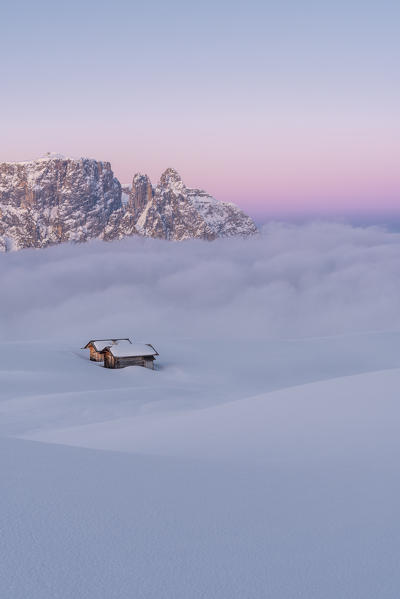Alpe di Siusi/Seiser Alm, Dolomites, South Tyrol, Italy. Dawn on the plateau of Bullaccia/Puflatsch. In the background the peaks of Sciliar/Schlern