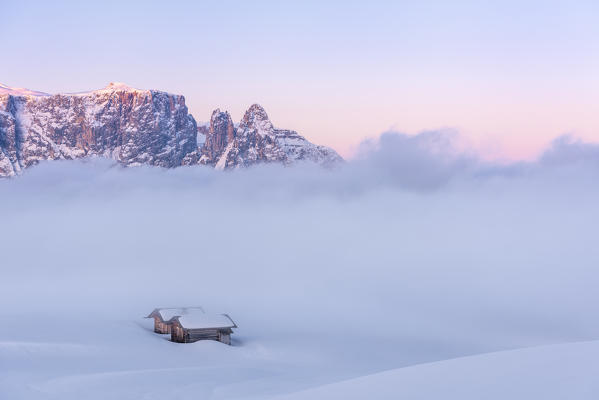 Alpe di Siusi/Seiser Alm, Dolomites, South Tyrol, Italy. Sunrise on the plateau of Bullaccia/Puflatsch. In the background the peaks of Sciliar/Schlern