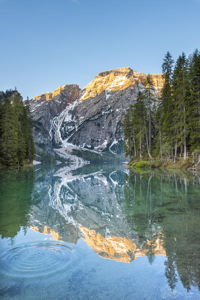 Braies / Prags, Dolomites, South Tyrol, Italy. The Lake Braies / Pragser Wildsee at sunrise