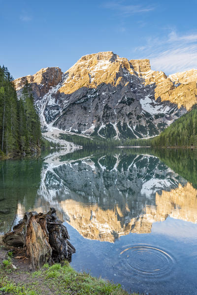 Braies / Prags, Dolomites, South Tyrol, Italy. The Lake Braies / Pragser Wildsee at sunrise