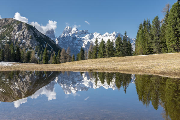 Prato Piazza/Plätzwiese, Dolomites, South Tyrol, Italy. 
The Cristallo massif is reflected in a pool on the Plätzwiese