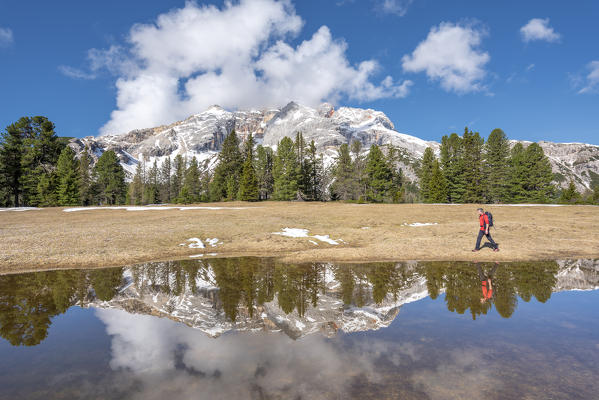 Prato Piazza/Plätzwiese, Dolomites, South Tyrol, Italy. The Croda Rossa d'Ampezzo is reflected in a pool on the Prato Piazza