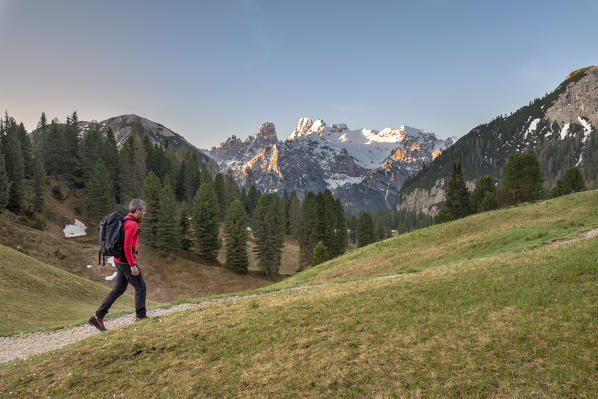 Prato Piazza/Plätzwiese, Dolomites, South Tyrol, Italy. A hiker on the Prato Piazza, in the background the Cristallo Massiv at sunrise