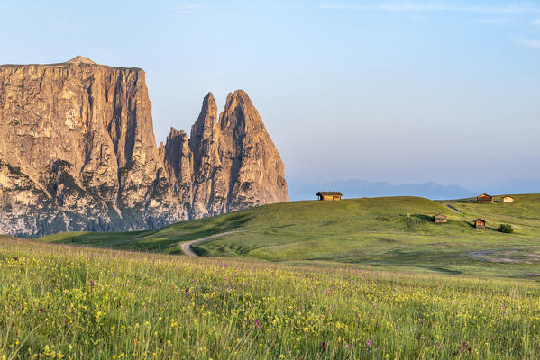 Alpe di Siusi/Seiser Alm, Dolomites, South Tyrol, Italy. Sunrise on the Alpe di Siusi/Seiser Alm. In the background the peaks of Euringer and Santner