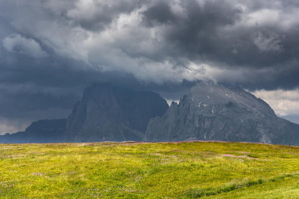 Alpe di Siusi/Seiser Alm, Dolomites, South Tyrol, Italy. Storm clouds over the Sassolungo