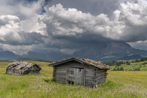 Alpe di Siusi/Seiser Alm, Dolomites, South Tyrol, Italy. Storm clouds over the Sassolungo