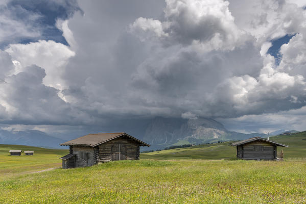 Alpe di Siusi/Seiser Alm, Dolomites, South Tyrol, Italy. Storm clouds over the Sassolungo