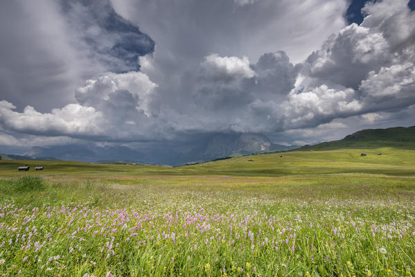 Alpe di Siusi/Seiser Alm, Dolomites, South Tyrol, Italy. Storm clouds over the Sassolungo