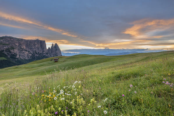 Alpe di Siusi/Seiser Alm, Dolomites, South Tyrol, Italy. Dusk over the Alpe di Siusi with the peaks of Sciliar