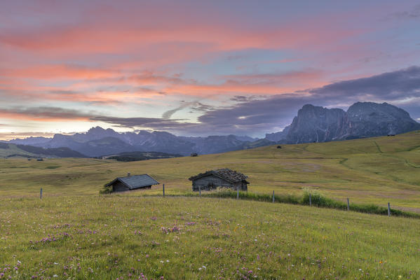 Alpe di Siusi/Seiser Alm, Dolomites, South Tyrol, Italy. Dawn over the Alpe di Siusi with a view to the Odle mountains and the Sassolungo