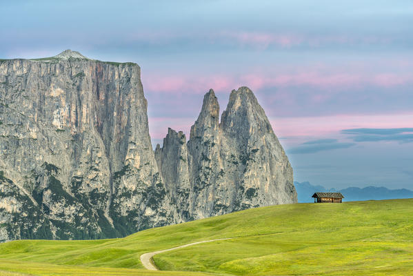 Alpe di Siusi/Seiser Alm, Dolomites, South Tyrol, Italy. Dawn over the Alpe di Siusi with the peaks of Sciliar