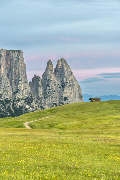 Alpe di Siusi/Seiser Alm, Dolomites, South Tyrol, Italy. Dawn over the Alpe di Siusi with the peaks of Sciliar