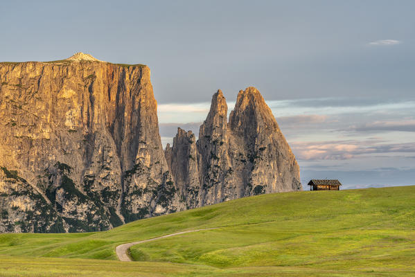 Alpe di Siusi/Seiser Alm, Dolomites, South Tyrol, Italy. Sunrise on the Alpe di Siusi with the peaks of Sciliar